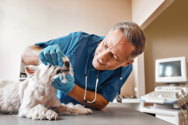 Best Emergency Dental Extractions in Centerville, TN